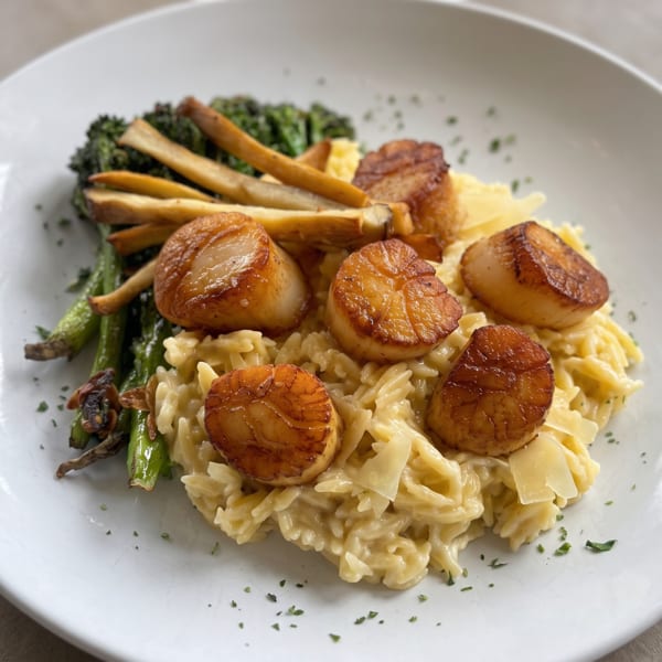 Seared scallops on creamy orzo pasta with roasted broccolini and parsnip fries on a white plate.